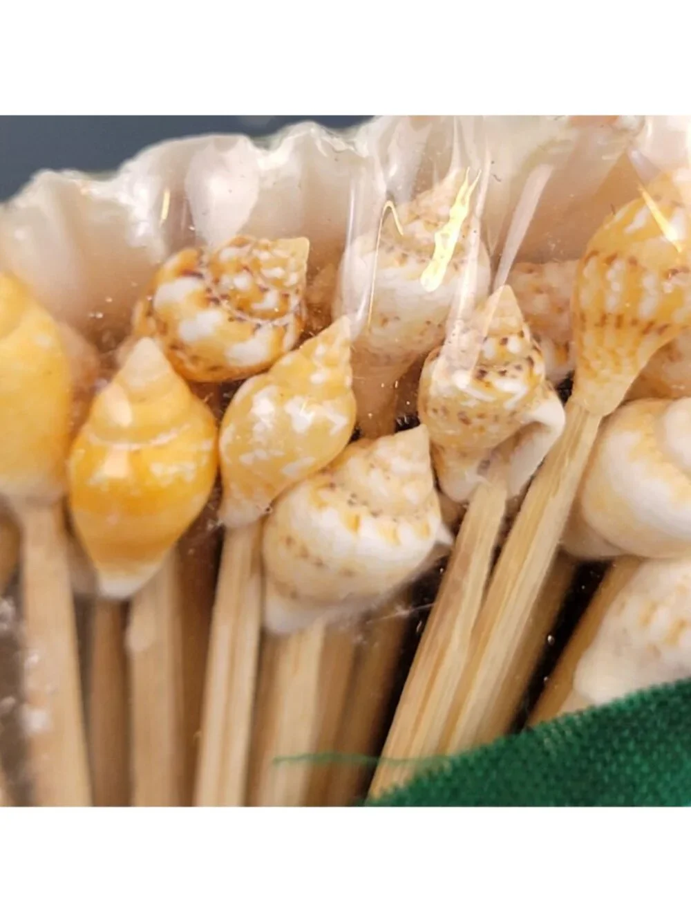 Vintage 80s Appetizer Toothpick Cocktail Picks Seashell Beach Hawaii Souvenir